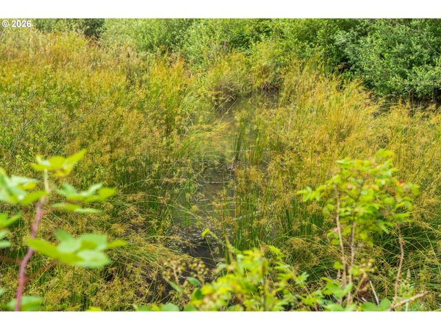 3832 Ne CAVITT Rd, Camas, WA 98607