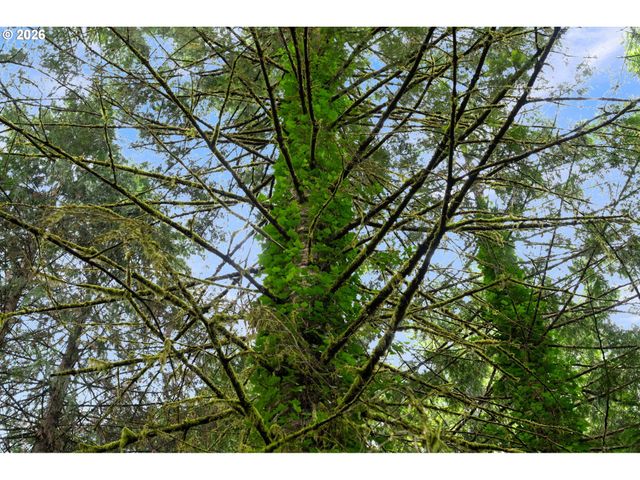 3832 Ne CAVITT Rd, Camas, WA 98607