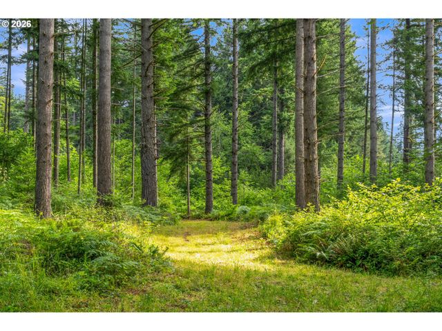 3832 Ne CAVITT Rd, Camas, WA 98607