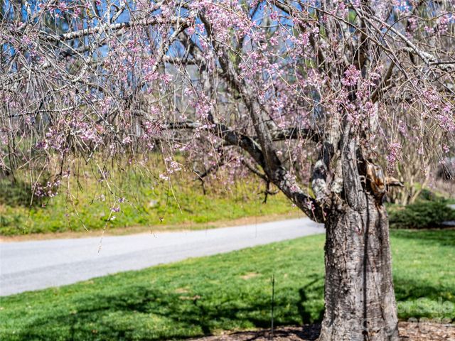 4 Dogwood Road, Asheville, NC 28804