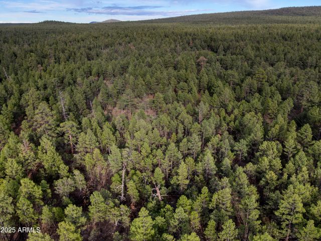 --- N --- Drive -, Lakeside, AZ 85929