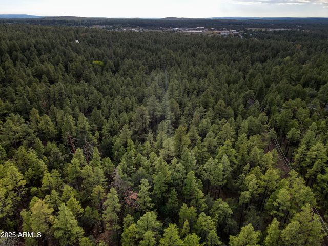 --- N --- Drive -, Lakeside, AZ 85929