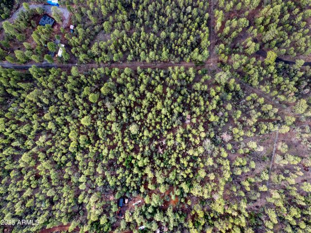 --- N --- Drive -, Lakeside, AZ 85929