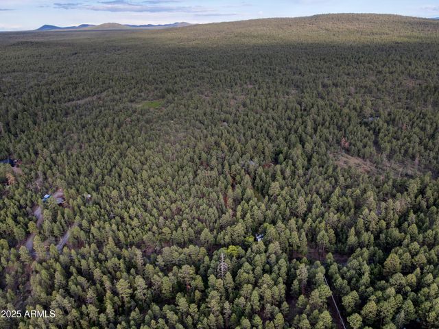 --- N --- Drive -, Lakeside, AZ 85929