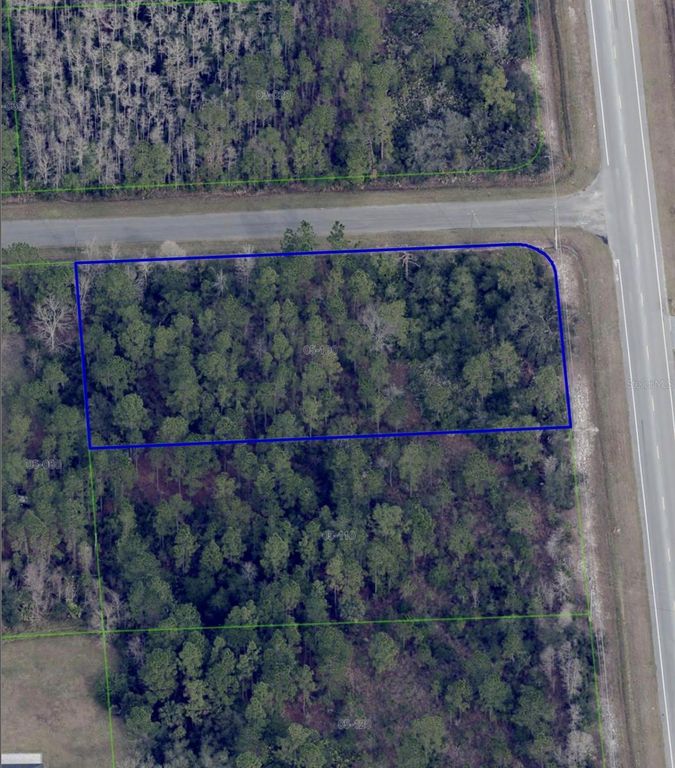 DALLAS BOULEVARD, Orlando, FL 32833