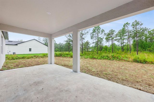42875 HONEYSUCKLE STREET, Eustis, FL 32736