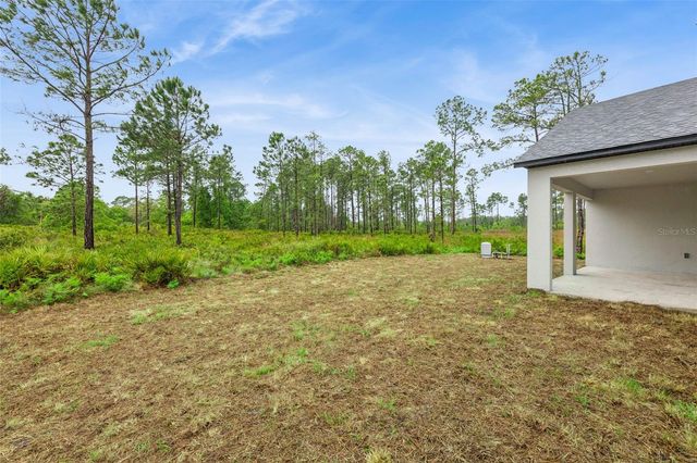 42875 HONEYSUCKLE STREET, Eustis, FL 32736