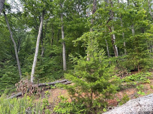 0 Golden Ridge Drive, Lake Lure, NC 28746
