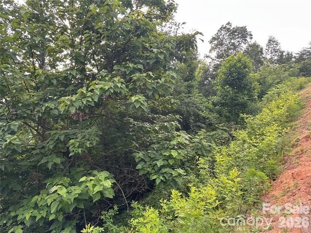 0 Golden Ridge Drive, Lake Lure, NC 28746