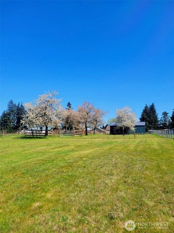 9505 Bridge Road SE, Yelm, WA 98597