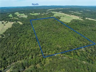TBD Sweet Bay Lane, Rudy, AR 72952