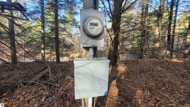 1091 Plum Valley Road NW, Alden, MI 49612