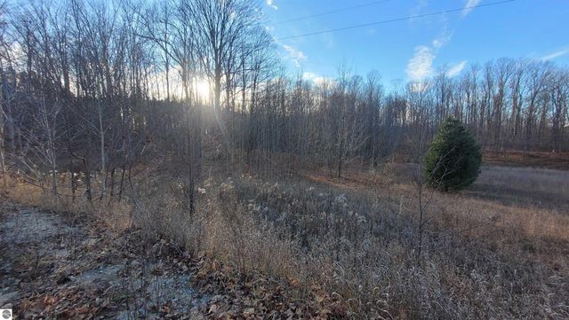 1091 Plum Valley Road NW, Alden, MI 49612