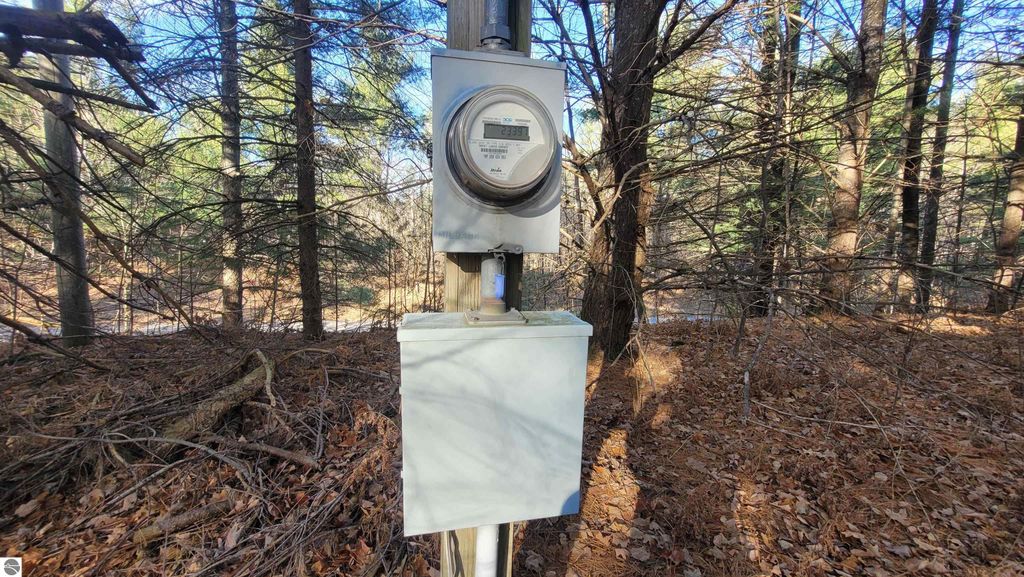 Electric meter and service panel in wooded area near 1091 Plum Valley Road NW, Alden, MI, highlighting property utilities and potential for development.