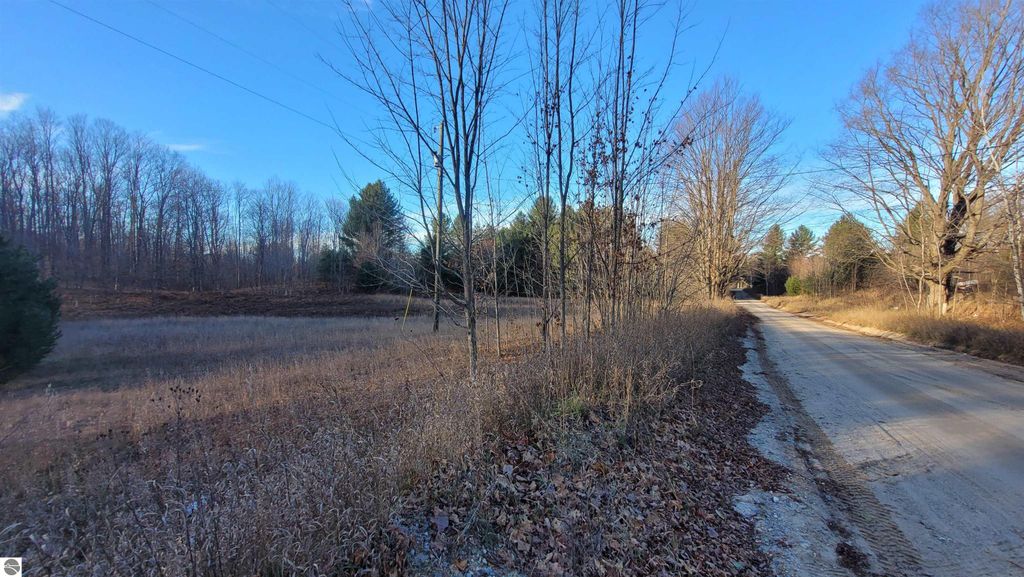 40-acre rural land in Alden, MI, featuring open fields and wooded areas, with a dirt road bordered by trees, ideal for outdoor activities and development opportunities.