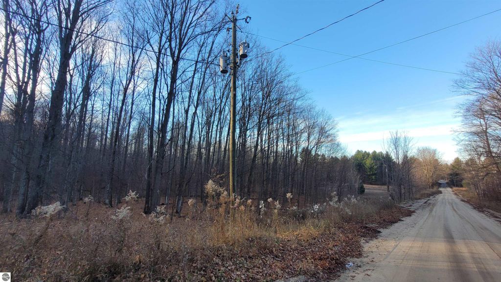 Rural dirt road with power lines and trees, showcasing the 40-acre parcel near 1091 Plum Valley Road NW, ideal for outdoor enthusiasts and potential development.