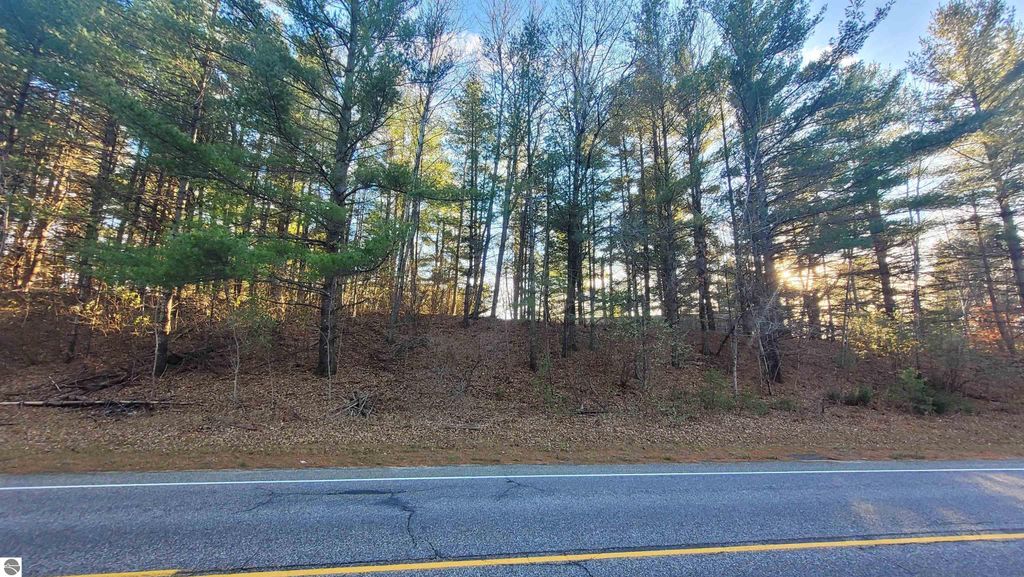 Forested area along road near 1091 Plum Valley Road NW, Alden, MI, showcasing potential development land and natural surroundings.