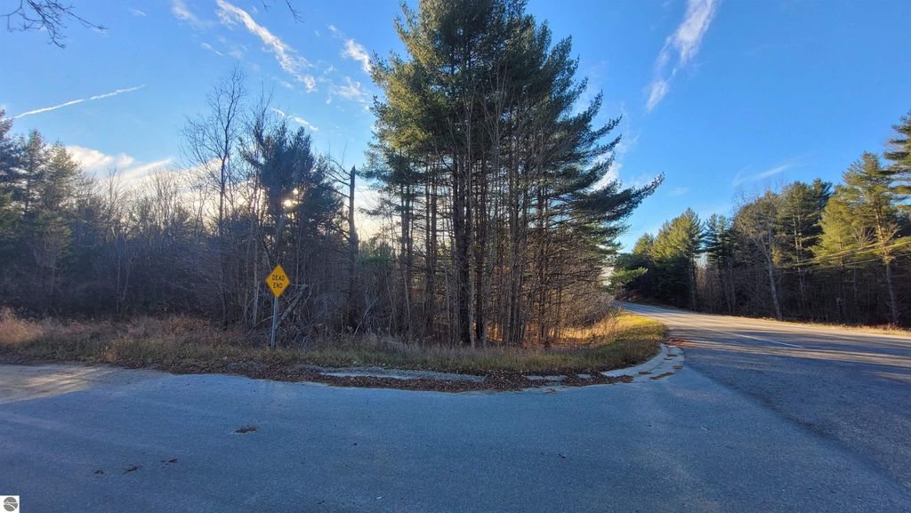 Road intersection with a "Dead End" sign, surrounded by trees and brush, near the property at 1091 Plum Valley Road NW, Alden, MI, highlighting the rural setting and potential for development.