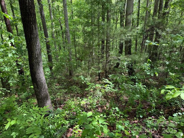 99999 Morning Star Drive Lot 13, Leicester, NC 28748