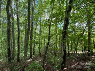 99999 Morning Star Drive Lot 13, Leicester, NC 28748