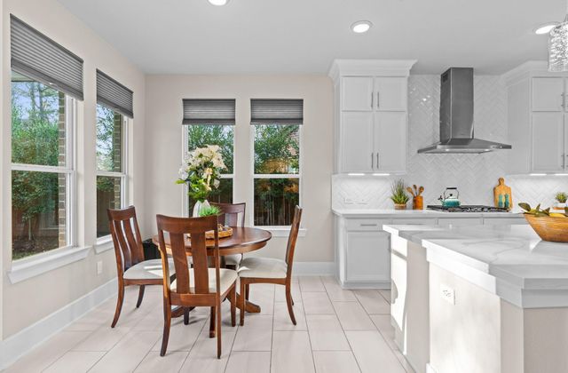 141 Bronze Bow Drive, Montgomery, TX 77316