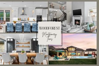 141 Bronze Bow Drive, Montgomery, TX 77316