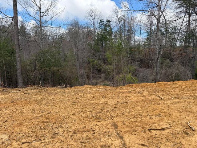 Lot 6 Phase 2 Stearns Hollow Road, Monticello, KY 42633