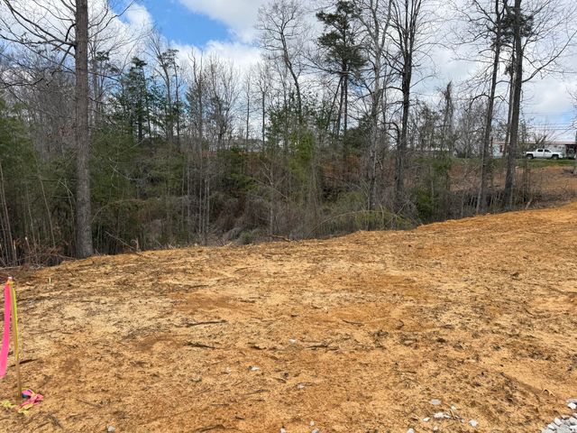 Lot 6 Phase 2 Stearns Hollow Road, Monticello, KY 42633