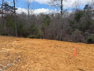 Lot 6 Phase 2 Stearns Hollow Road, Monticello, KY 42633