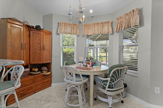 16846 SE 80TH BELLAVISTA CIRCLE, The Villages, FL 32162