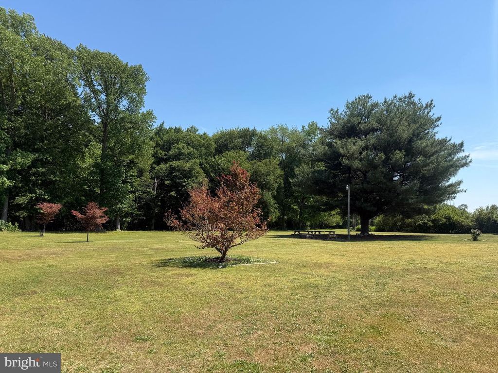 Image 16 of property listing at 1420 BARCLAY RD, Barclay, MD 21607
