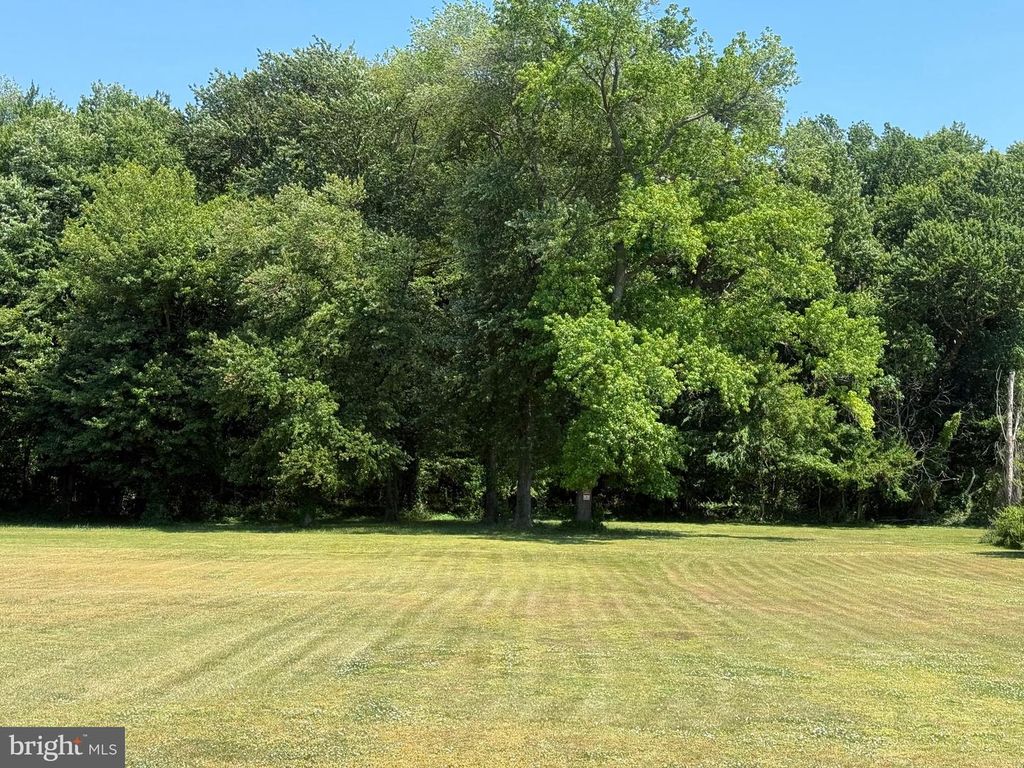 Image 17 of property listing at 1420 BARCLAY RD, Barclay, MD 21607