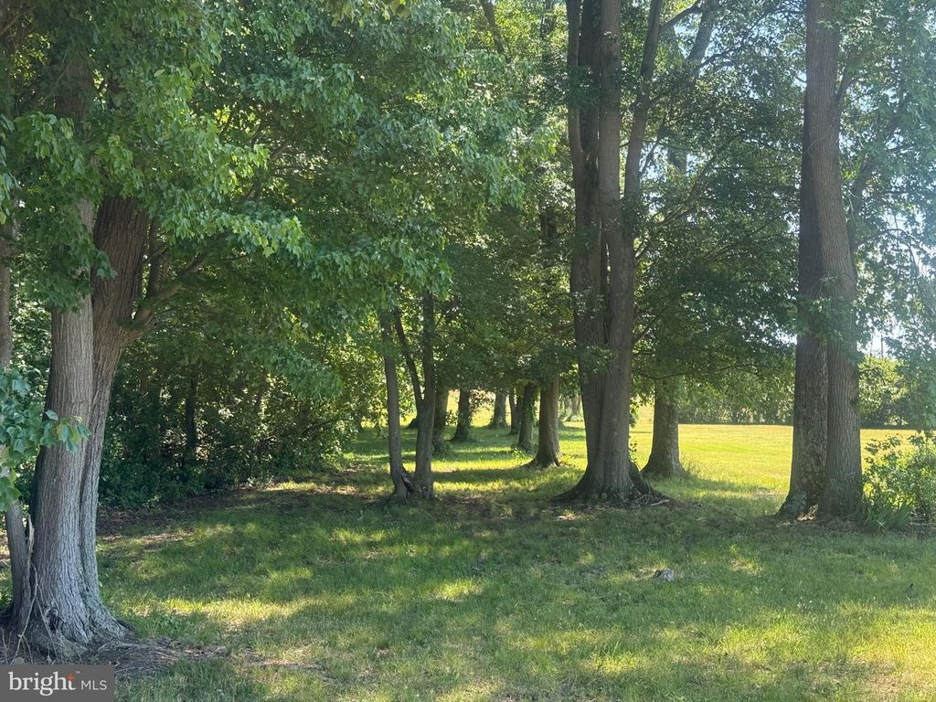 Image 6 of property listing at 1420 BARCLAY RD, Barclay, MD 21607