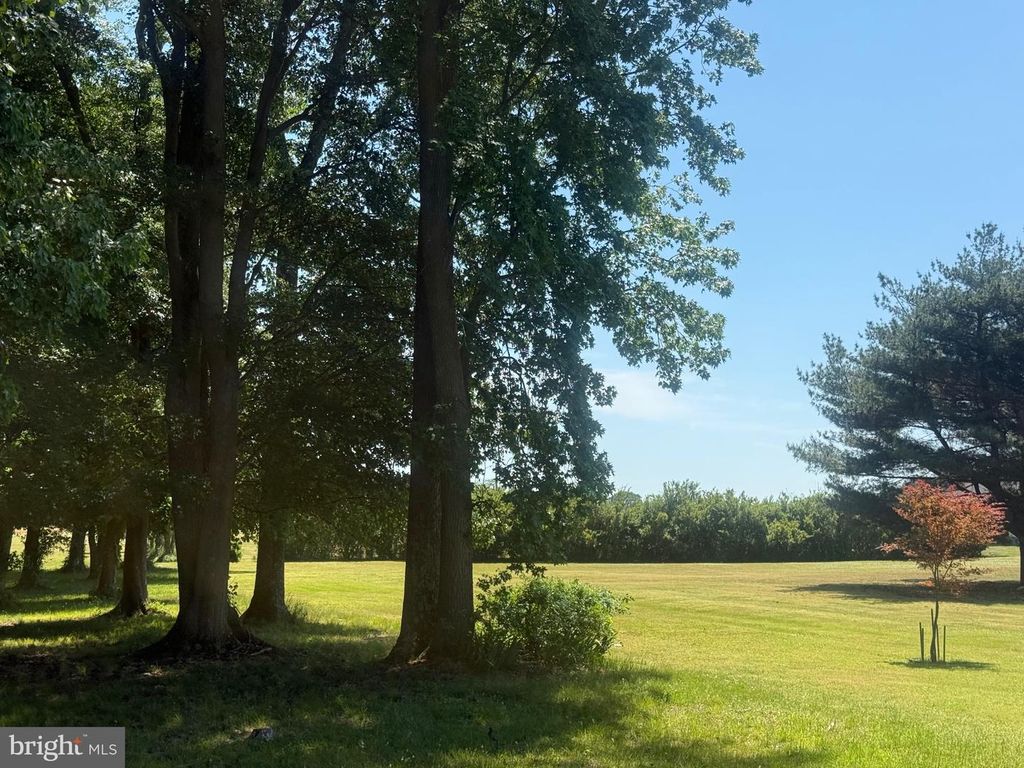 Image 7 of property listing at 1420 BARCLAY RD, Barclay, MD 21607