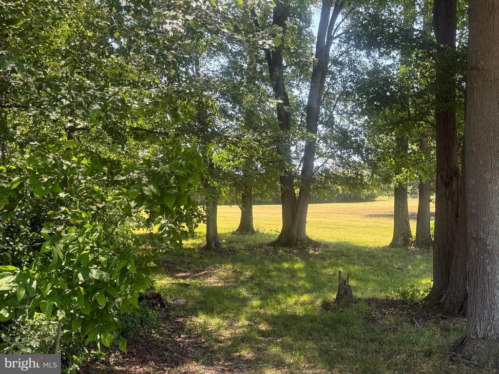 Image 8 of property listing at 1420 BARCLAY RD, Barclay, MD 21607