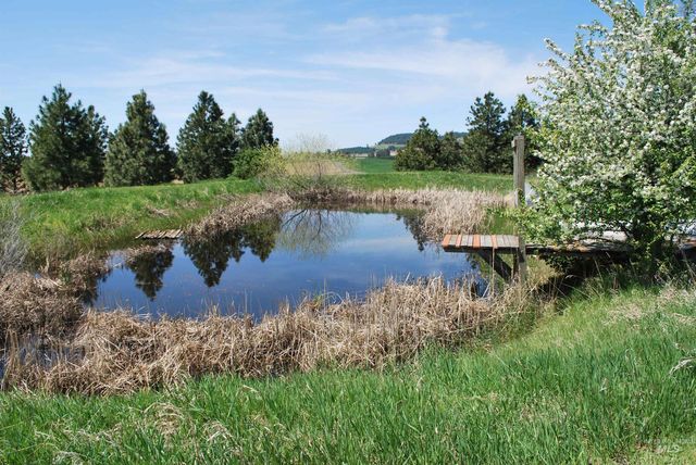 1514 Freeman Creek Rd., Kendrick, ID 83537
