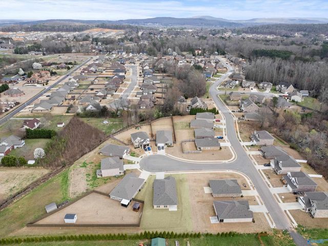 204 Joan Circle, Harvest, AL 35749