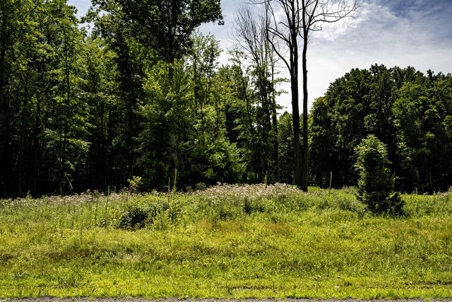 0 Youngren Road, Harbert, MI 49115