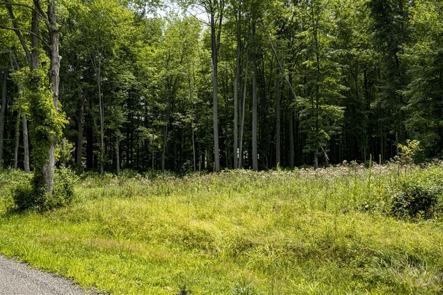 0 Youngren Road, Harbert, MI 49115