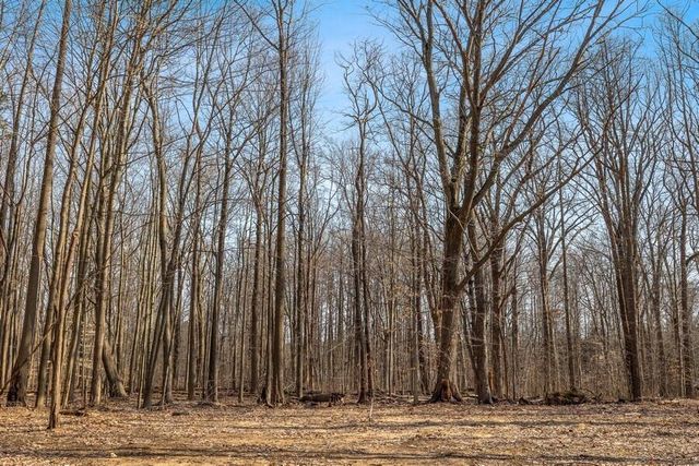 0 Youngren Road, Harbert, MI 49115