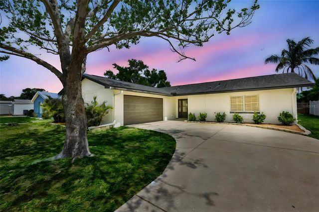 539 RED MANGROVE LANE, Apollo Beach, FL 33572