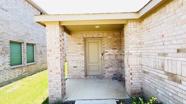 217 Adelina Drive, Little Elm, TX 75068