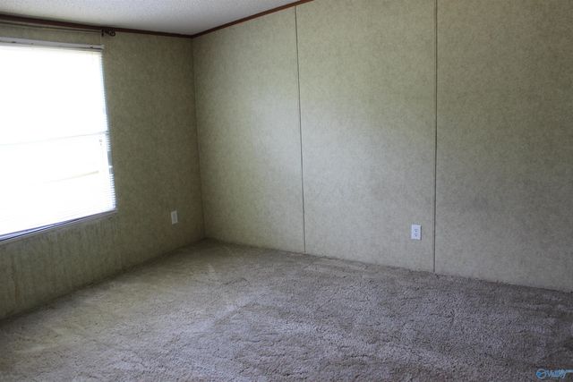 212 County Road 108, Sylvania, AL 35988