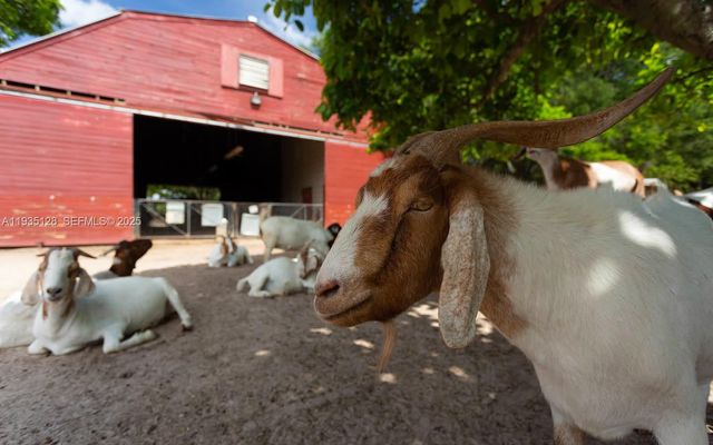 895 W 79th Pl, Hialeah, FL 33014