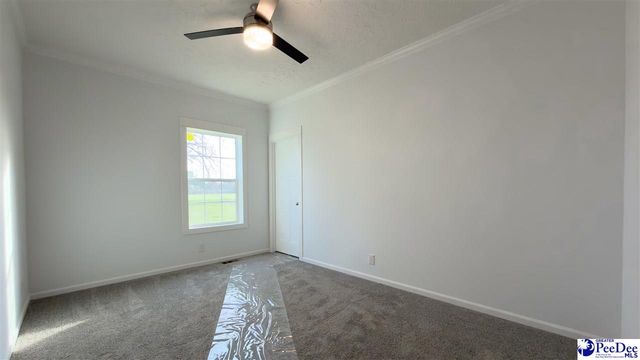 2111 Poor Farm Rd., Effingham, SC 29541