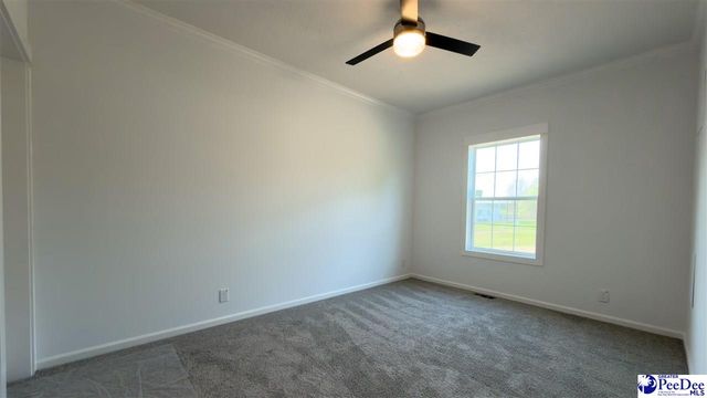 2111 Poor Farm Rd., Effingham, SC 29541