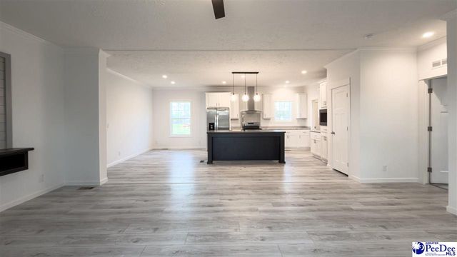2111 Poor Farm Rd., Effingham, SC 29541