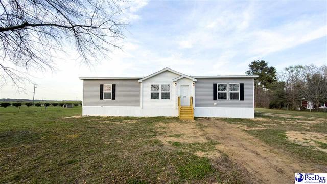 2111 Poor Farm Rd., Effingham, SC 29541