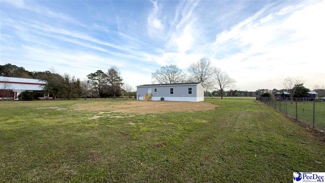 2111 Poor Farm Rd., Effingham, SC 29541
