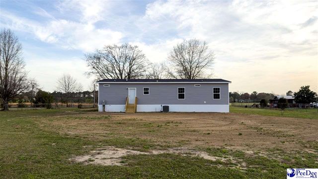 2111 Poor Farm Rd., Effingham, SC 29541